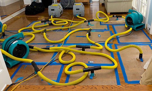 Professional Crawl Space Water Removal technician working in Woodside, CA